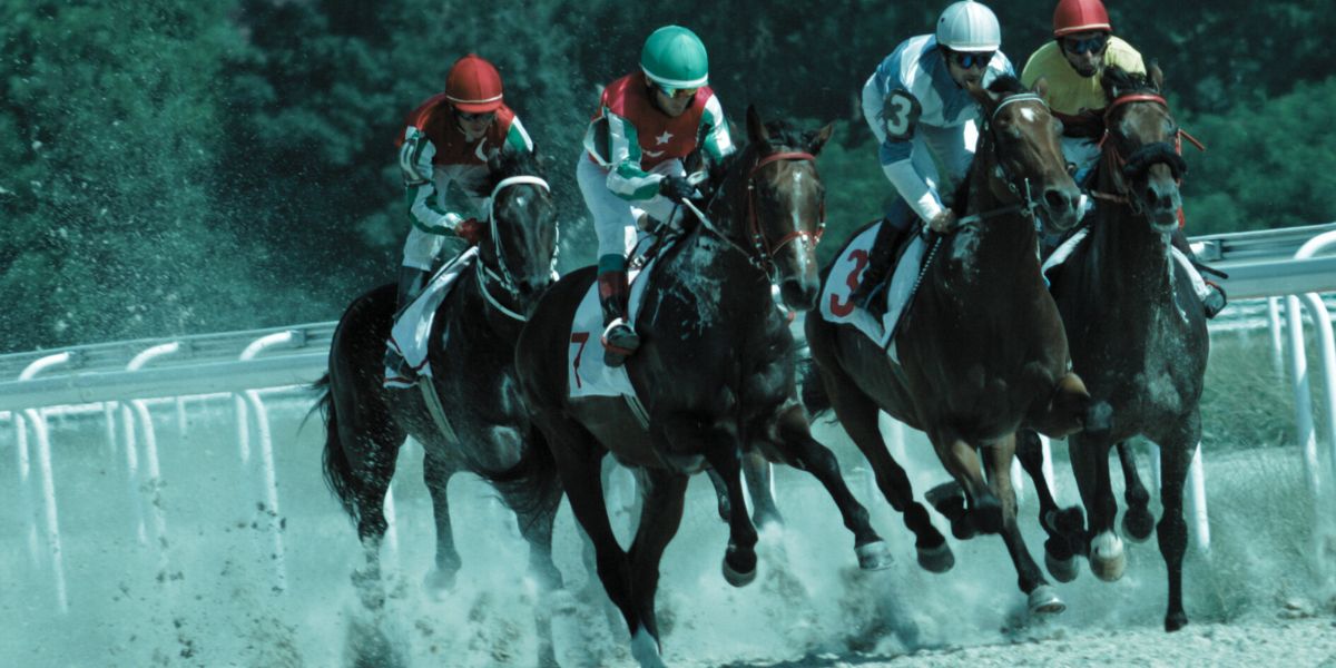 course trot monté - le bon parieur